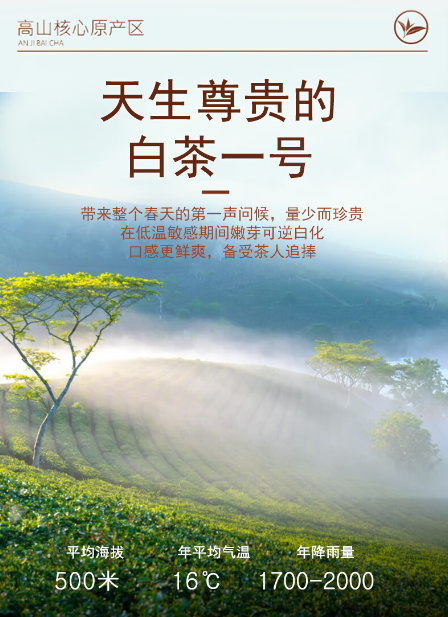 企业微信截图_20240907153744 - 副本.png